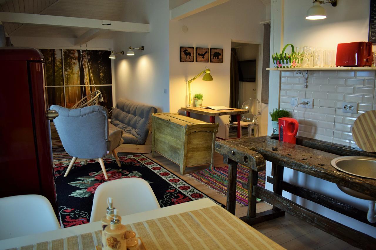Hanu Lu Mos Opinca Guest house