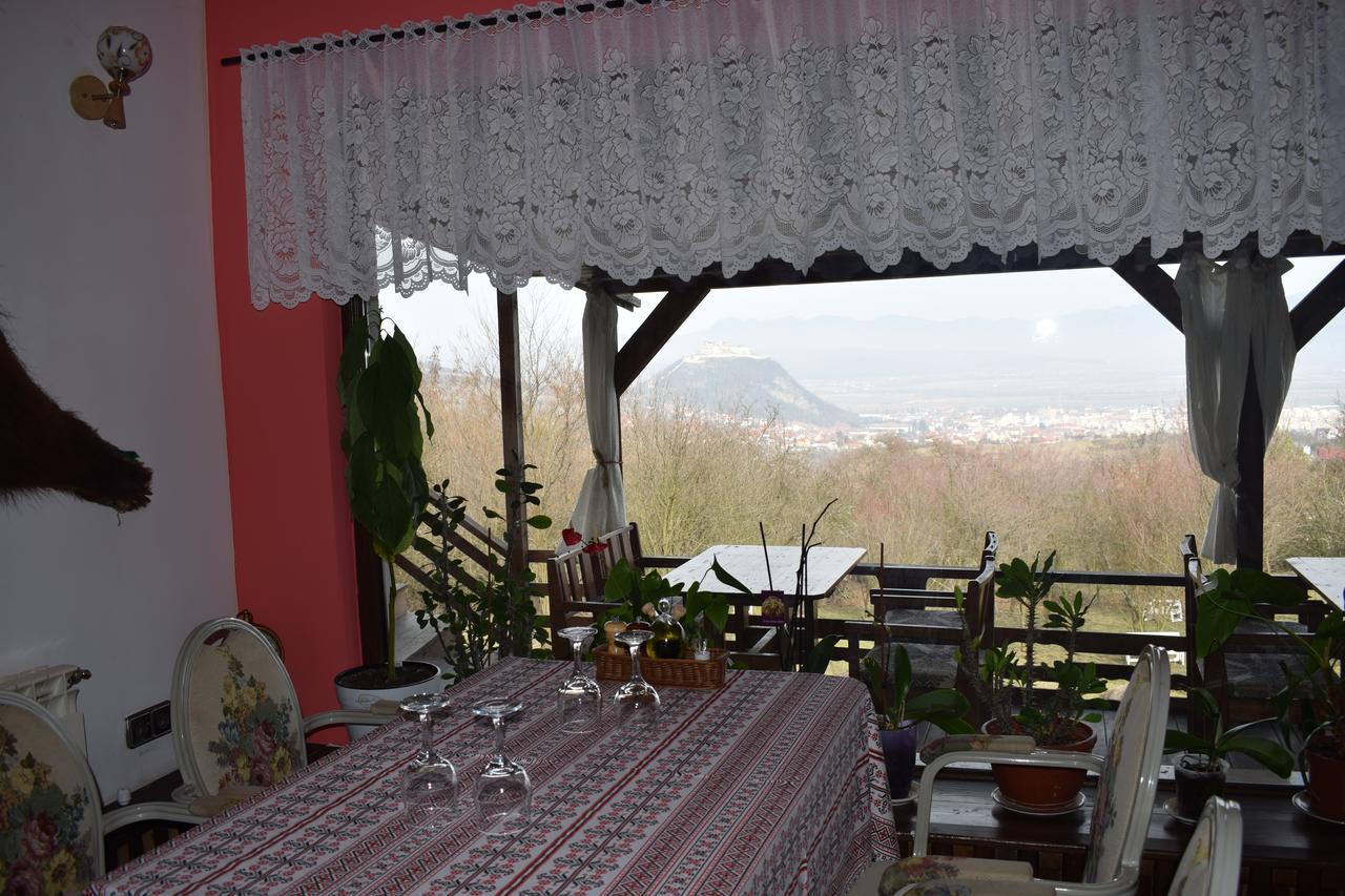 Guest house Hanu Lu Mos Opinca
